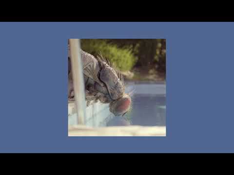 Metronomy - Mandibules (Main Theme)