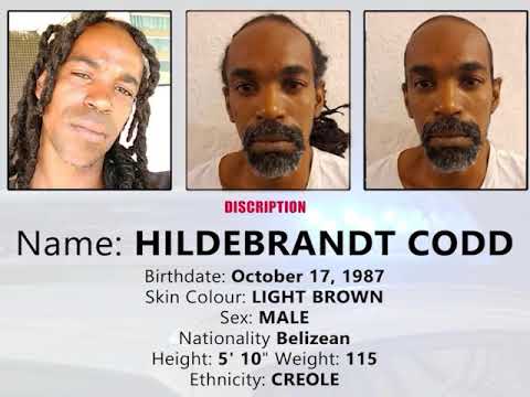 Hildebrandt Codd Remains on the Lam