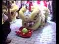 Lion Dances at KLs Chinatown during Chap Goh.