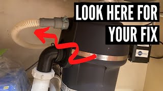 Is Your Dishwasher Not Draining? 3 Reasons Why Water Is in the Bottom of Your Dishwasher