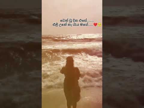 🍃🦋✨️#mood #love #beach #warsha #songlyrics