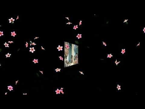 pranathi birthday 16-05-2020 videos