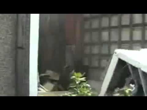 Harlem Shake - MADE IN ALBANIA