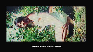 Cherry Glazerr – “Soft Like a Flower”