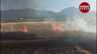 Konya'nın Seydişehir ilçesinde çıkan yangında, 4 dönümlük ekili alan zarar gördü