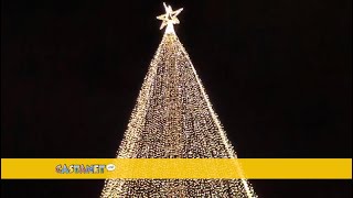 Tree of Hope officially lit