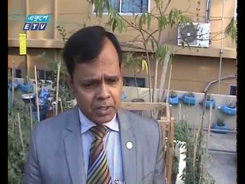 চট্টগ্রামে ৫ হাজার বাড়ির ছাদে শাক-সবজি চাষ