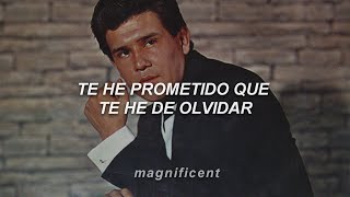 Leo Dan - Te He Prometido (Letra)