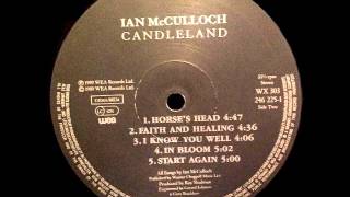 Ian McCulloch - IN BLOOM