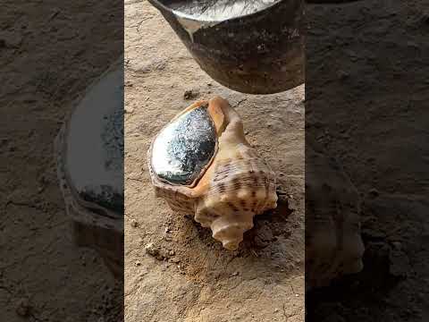Watch the Glow! Molten Snail Shell 🐌🔥 #foundry #aluminum #art