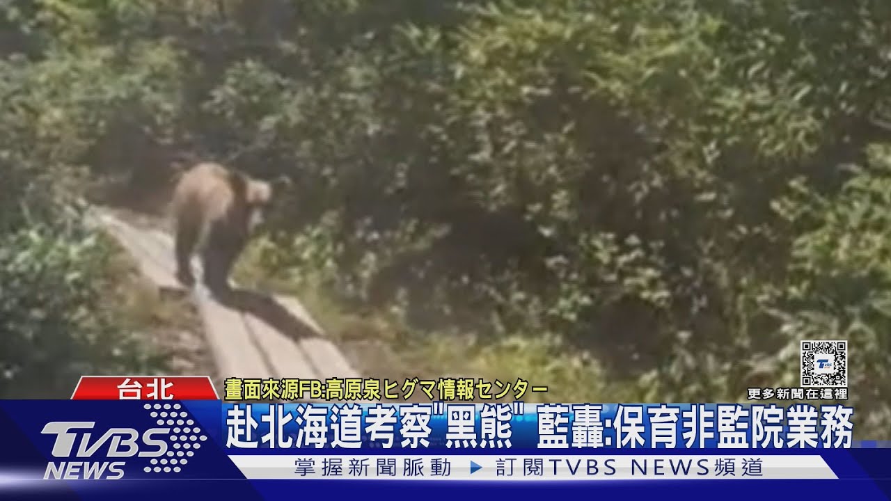 赴北海道考察「黑熊」 藍轟:保育非監院業務
