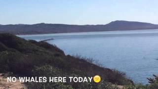 A View from the Point