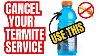 Incredible Plastic Bottle Method For TERMITES | FREE AND EASY SETUP