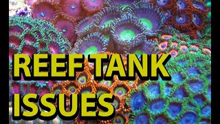 Strang Reef Tank Issue\\ Troubleshooting A Very Weird Salt Water Aquarium Problem