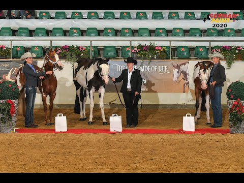 German Paint 2020 promo 2160p