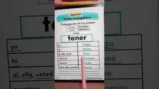 Conjugation of the verb tener in the present indicative tense. Verb conjugation. Spanish learning.