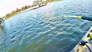 I Love Catching these Shallow Water GIANTS in the Spring!