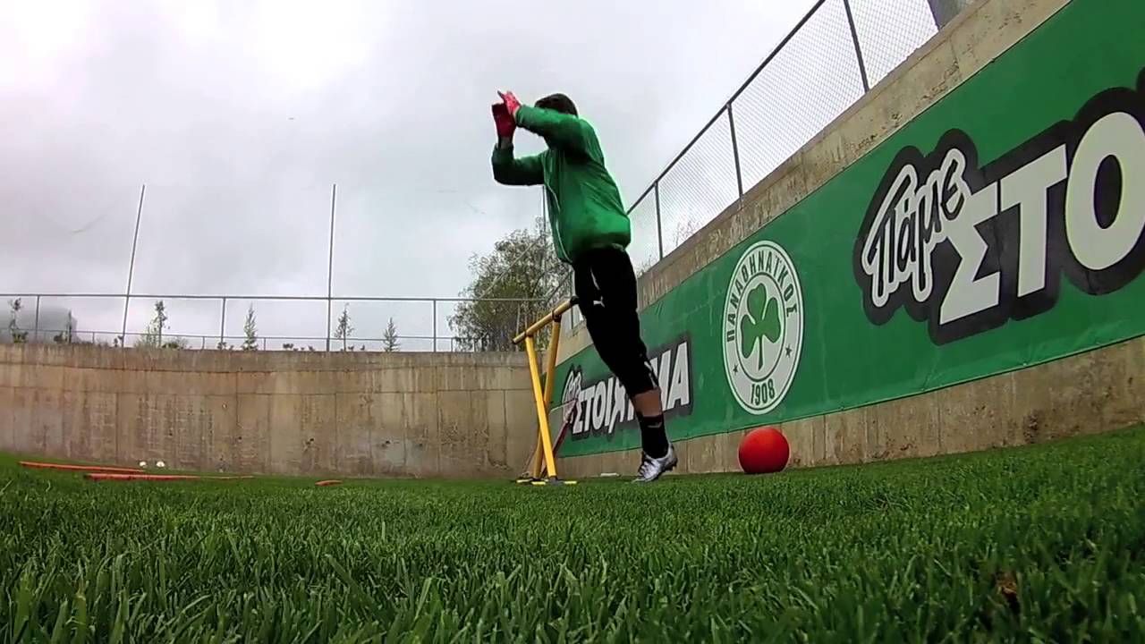 Πρωινη γυμναστικη | pao.gr