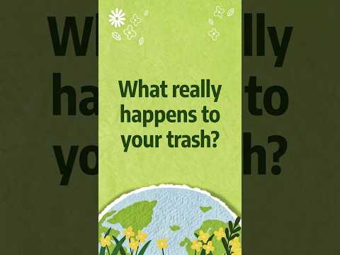 What really happens to your trash?