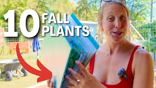 10 Easy Vegetables to Grow This Fall