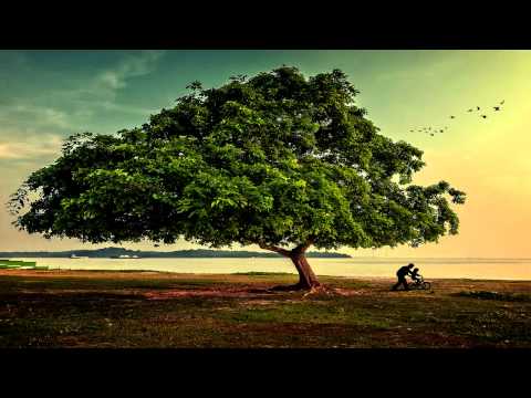 Acid Village - The Horses (analog mix)