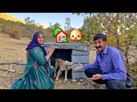 You Won’t Believe What This Homeless Mom Built for Her Puppy! 🐶✨