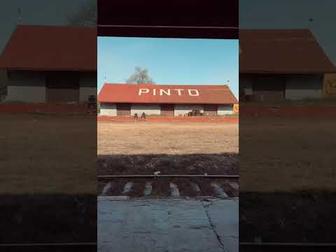 Pinto - Santiago del Estero