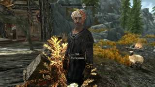 Skyrim - Tasheni Follower - Shepherd Erk Thrymsson