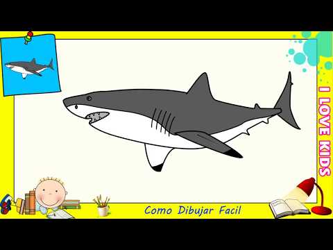 Como dibujar un tiburon FACIL paso a paso ... - VideoLink Como dibujar un tiburon FACIL paso a paso ... - VideoLink