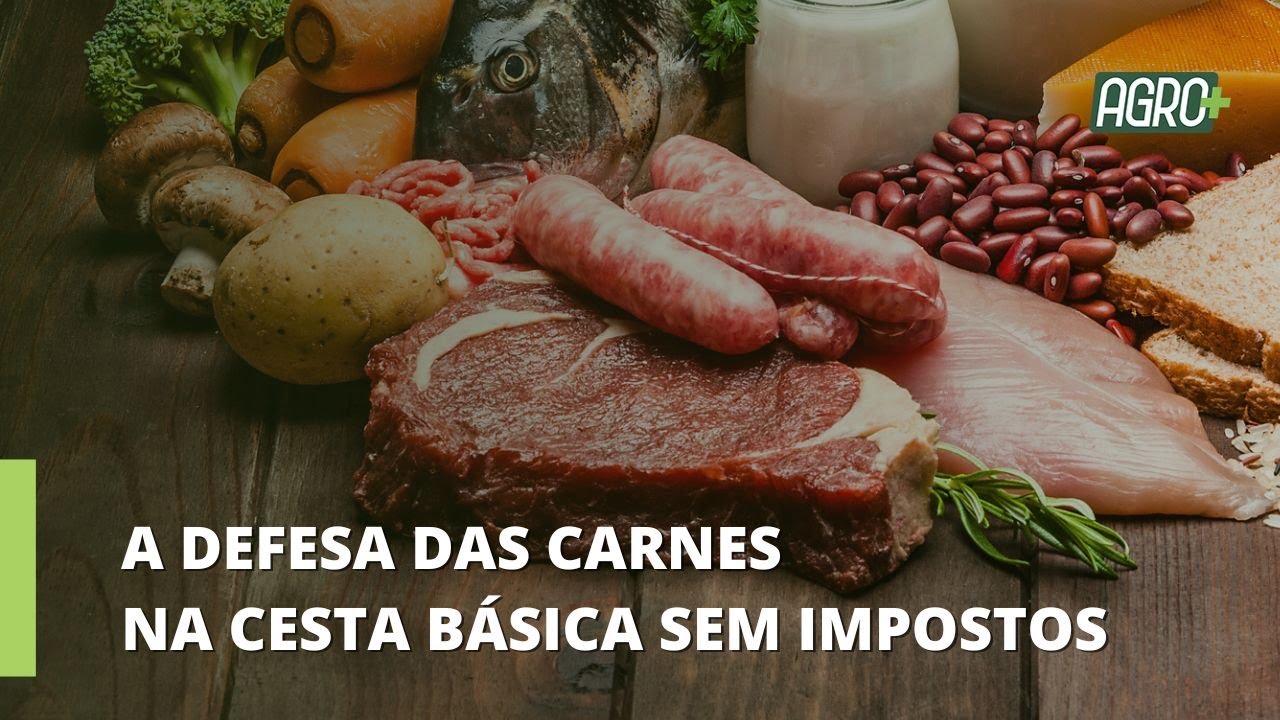 Questão de ordem com Gesner Oliveira, economista, sócio da GO Associados e professor da FGV.