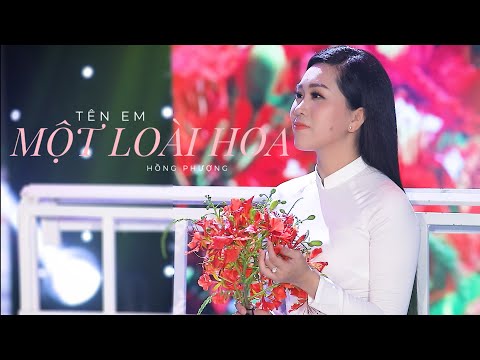 Tên em một loài hoa - Hồng Phượng