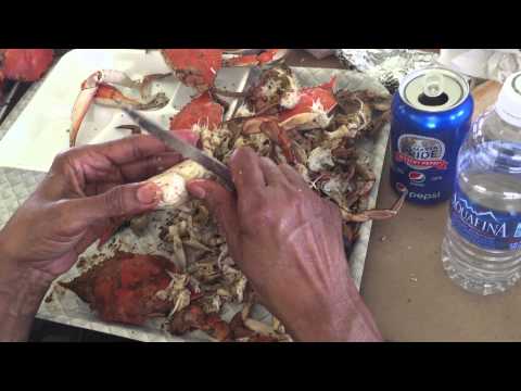 download lagu mp3 mp4 Seafood Feast I Val, download lagu Seafood Feast I Val gratis, unduh video klip Seafood Feast I Val