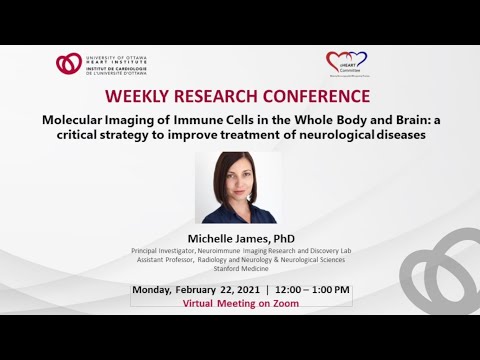 Molecular Imaging of Immune Cells in the Whole Body and Brain