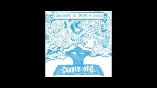 03. Charly Efe - Charly vs. efe