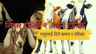 लिभर टोनिक र आइरन टोनिक दिने सहि समय र तरिका #buffalo  #cow #drbhat  #cattledisease #goat