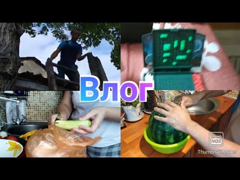 Наши выходные / Торт из печенья / Муж на крыше / Первый арбуз /Семейный вечер / Игры /  Anika Z влог