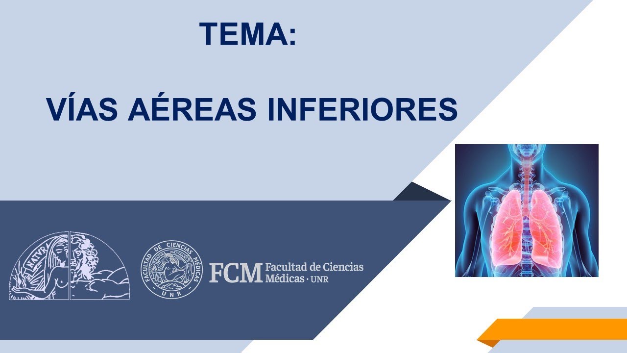 Vías Aéreas Inferiores Dr. Humpola