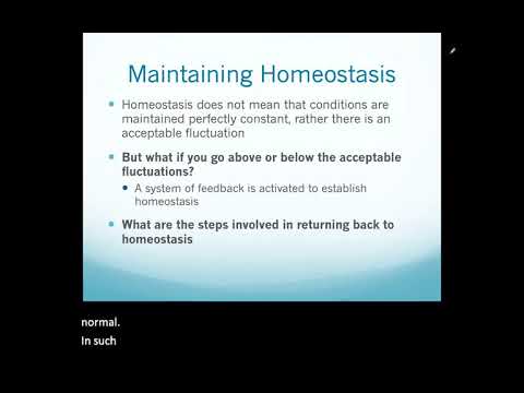 Introduction to A&P Part 2 (Biology 155)