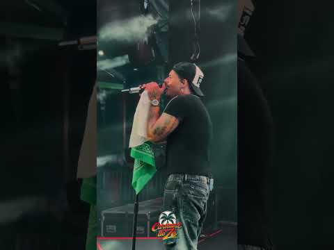 Zé Felipe canta com lenço da Boiadeira em Cametá…