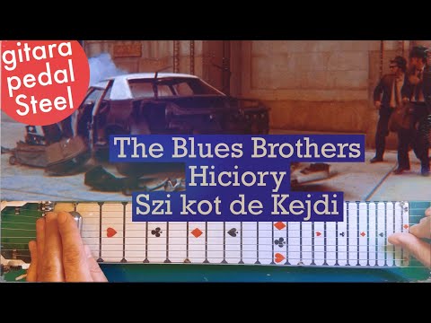 Gitara Hawajska | Hiciory | The Blues Brothers | Szi kot de Kejdi | Pedal Steel