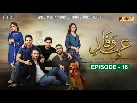 Ehd e Wafa Episode 18 | Pashto Drama Serial | HUM Pashto 1