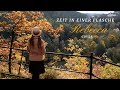 Zeit In Einer Flasche Rebecca Cover