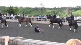 preview picture of video 'Horses, Hounds & Heroes III at Horse Trust, Speen 8th June 2014'