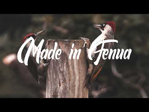 Are You Scared Of Love? - Myya's Diary & Kiki Rowe (Makers Nkv x Kilzer Nkv Remix)