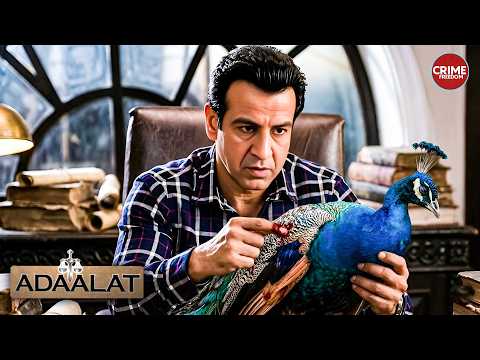क्या KD Pathak मोर को Use करेंगे SPY की तरह? | Aadalat | আদালত | KD Pathak | Full 4k Ep