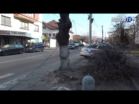 Jurnal MUSCEL TV 06.03.2023 Cabluri căzute pe mașini la Câmpulung