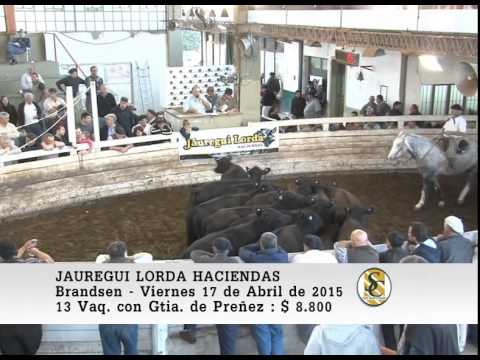 Venta de Vientres - Jauregui Lorda - Brandsen. 17-04-2015