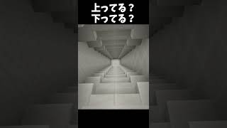 上ってる？下ってる？#Minecraft #shorts  #lyrics #montagem
