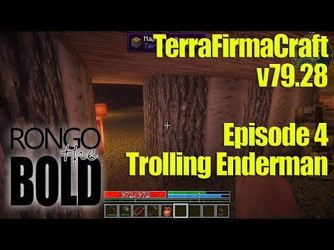 TerraFirmaCraft co-op adventures - Episode 4