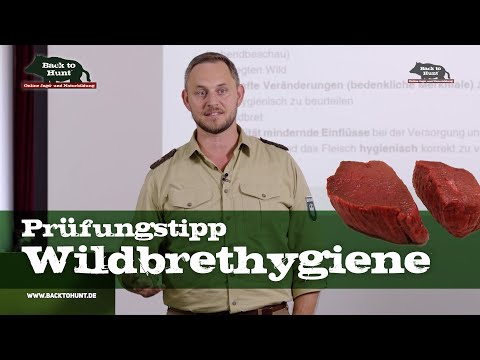 Where does game hygiene begin? Important exam tip | Back to Hunt